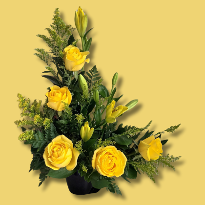 Five Star Roses