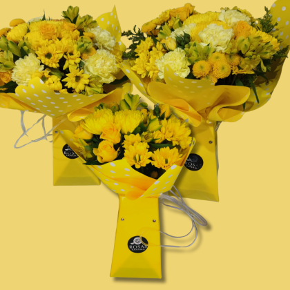 In Yellow Sun & Fun